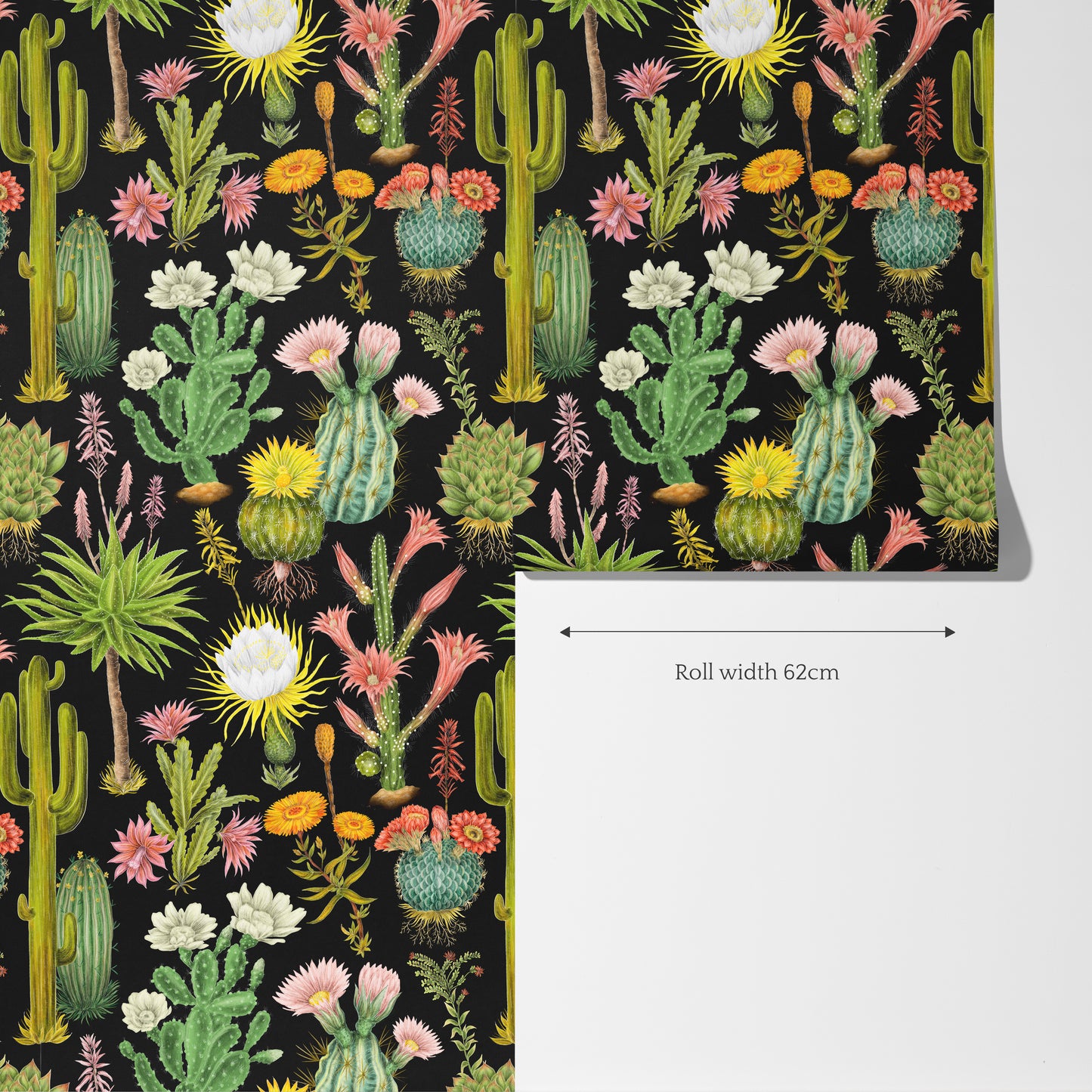 Cacti Crush in Night Sky Black Wallpaper
