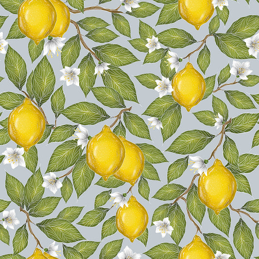 Limoni Sky Blue Wallpaper