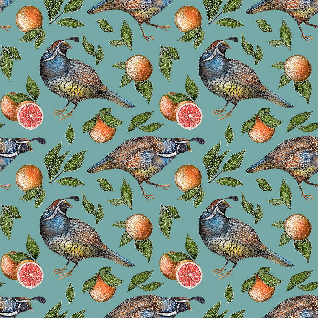 California Quails Wallpaper