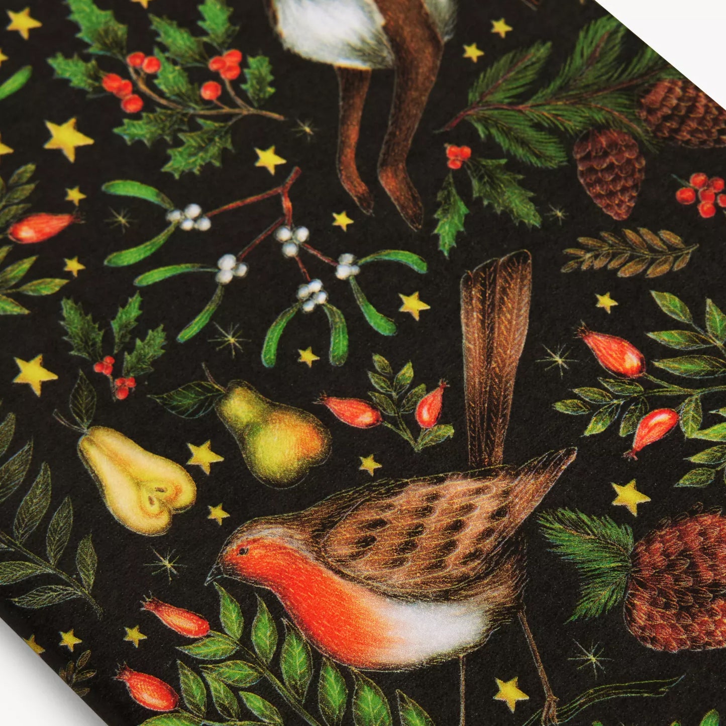 Christmas Garden Tissue Gift Wrap