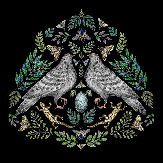 Rock Doves Fine Art Print