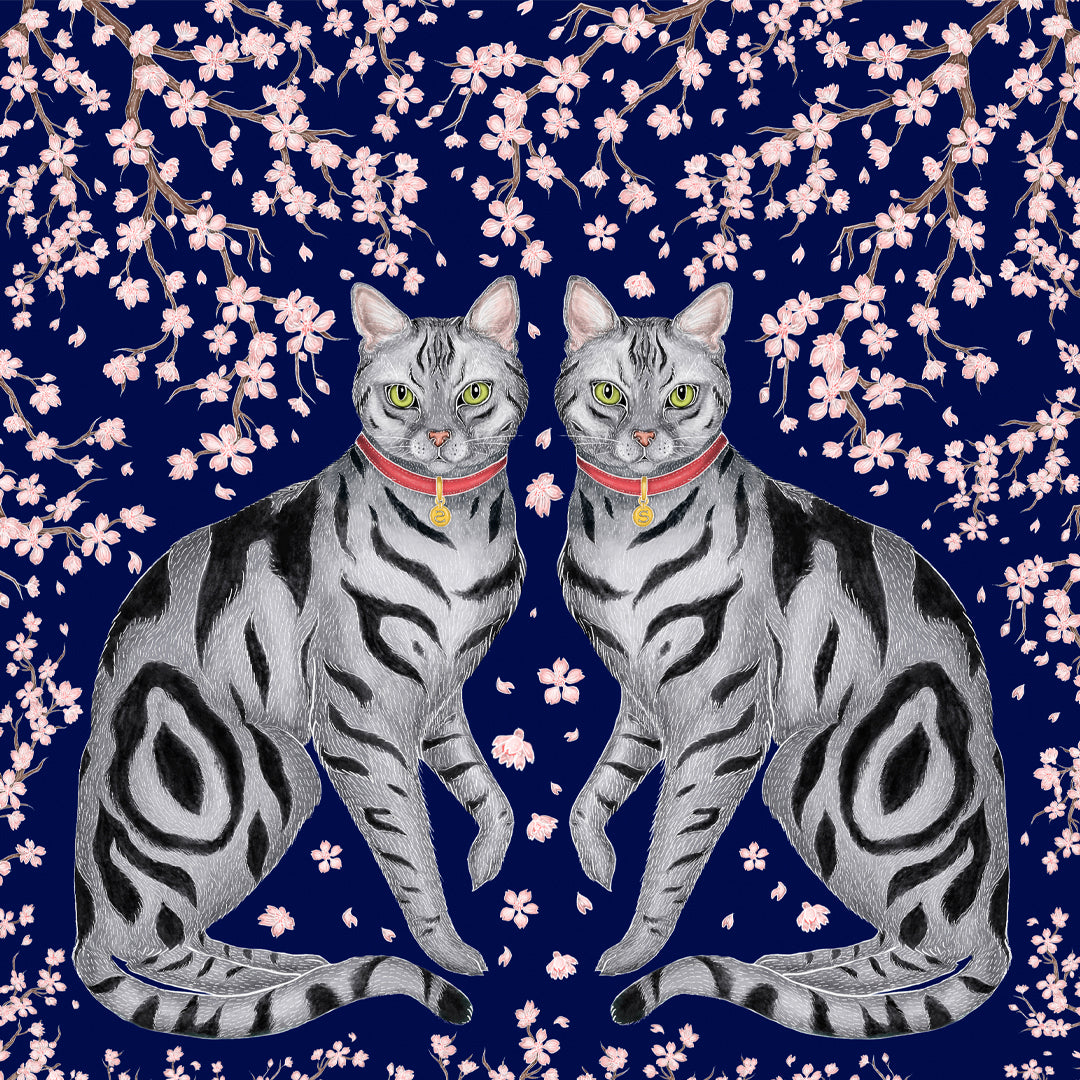 Sakura Cats & Cherry Blossom Fine Art Print