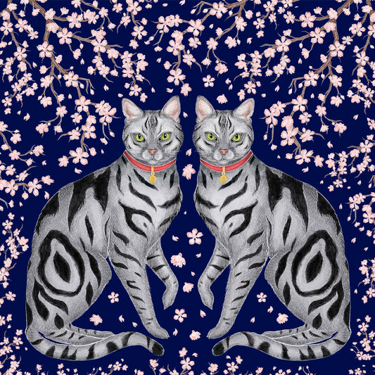 Sakura Cats & Cherry Blossom Fine Art Print
