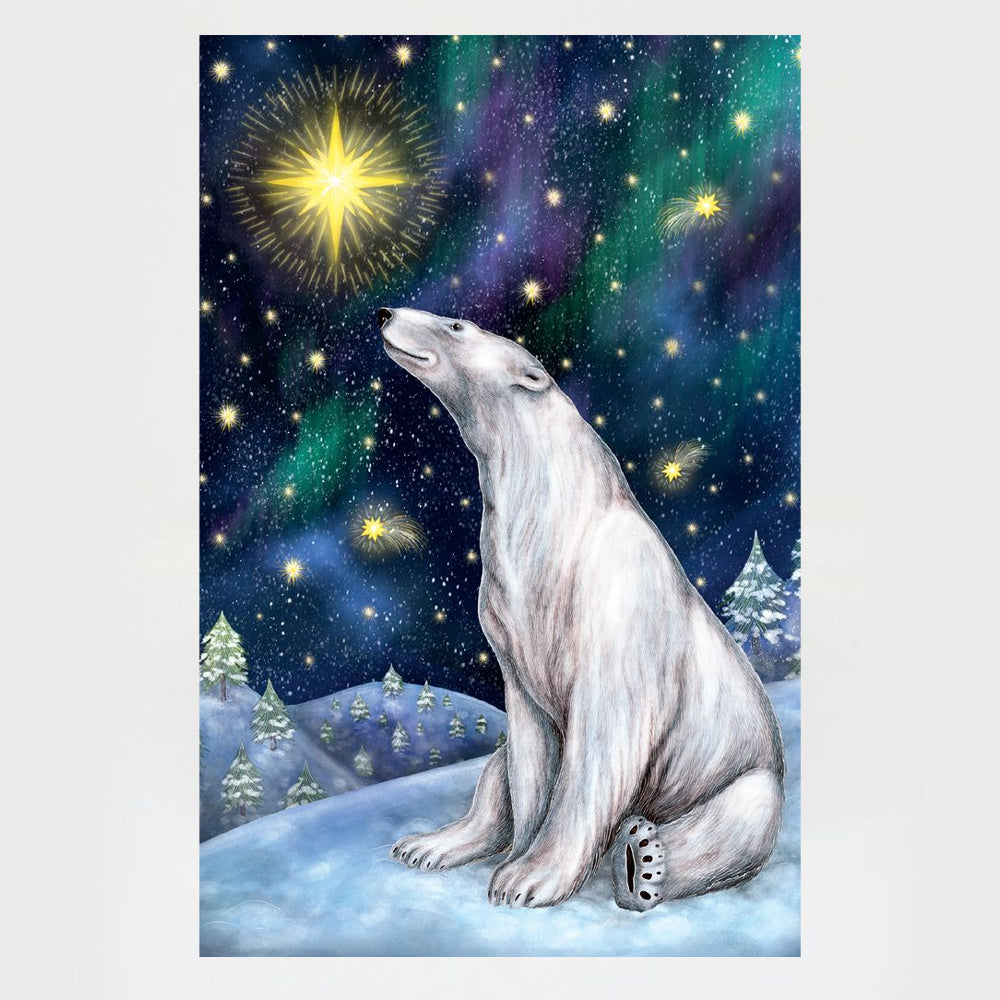 Stargazing Charity Christmas Cards Pack - 20 Cards