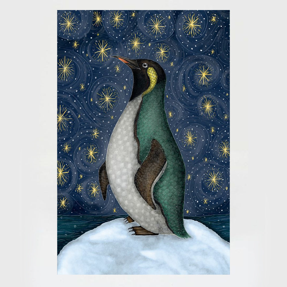 Stargazing Charity Christmas Cards Pack - 20 Cards