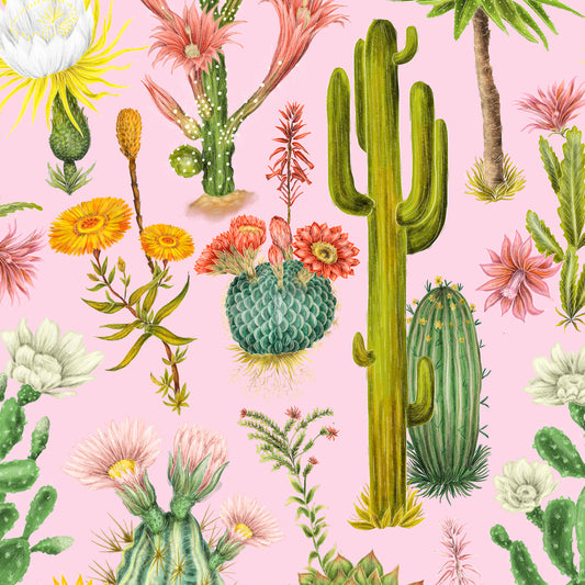 Cacti Crush in Petal Pink Wallpaper