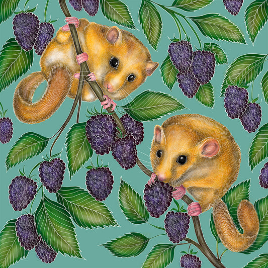 Dormice & Blackberries Fine Art Print