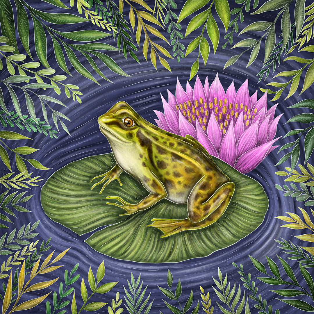 Under the Willow Tree Frog Fine Art Print