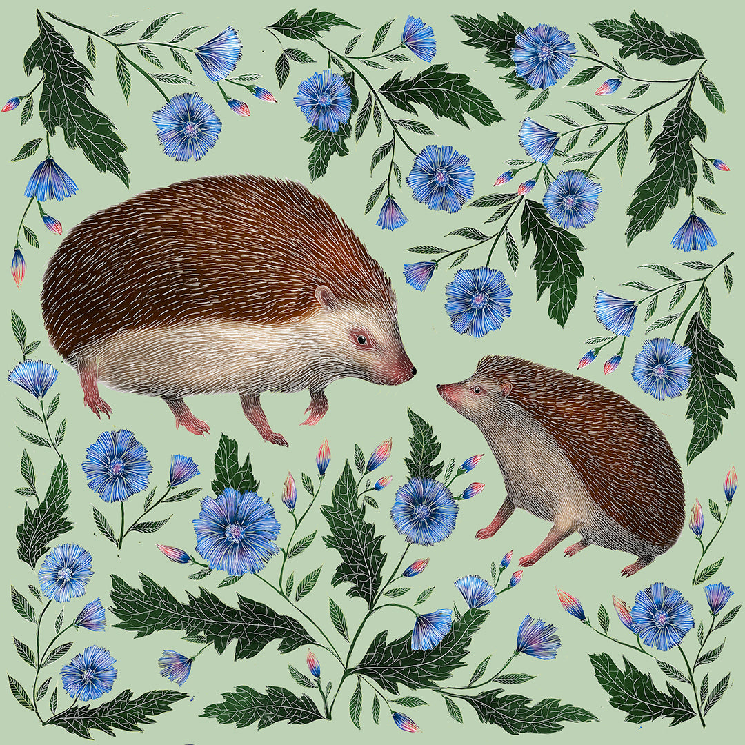 Prickly Pair Hedgehogs Fine Art Print