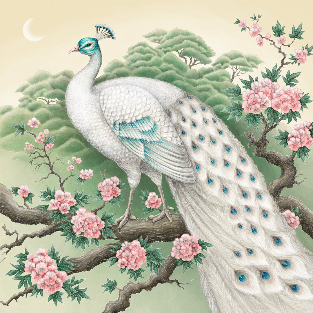 Shiroi Kujaku Peacock Fine Art Print