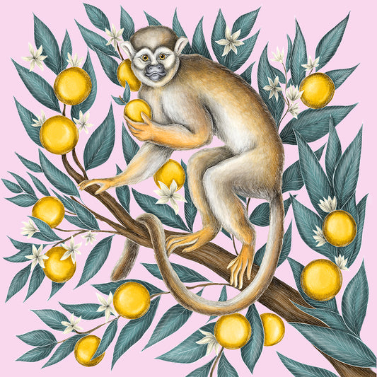 Juicy Snack Monkey Fine Art Print