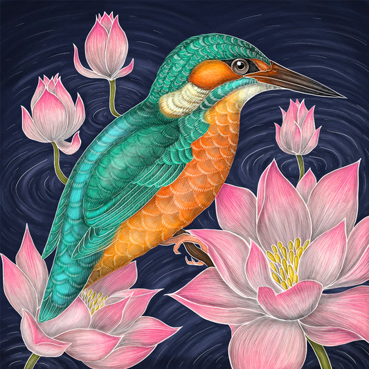 Kingfisher Fine Art Print