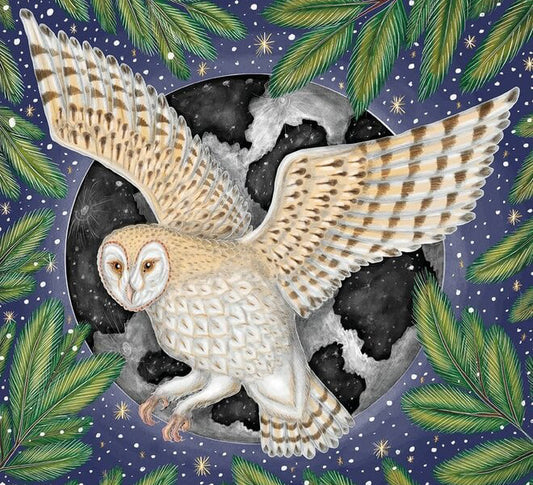 Moonlit Owl Christmas Cards - 5 Cards