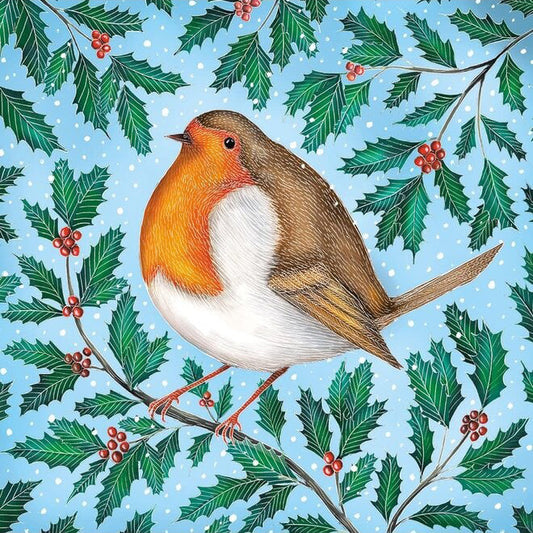 Mister Robin Christmas Cards - 5 Cards