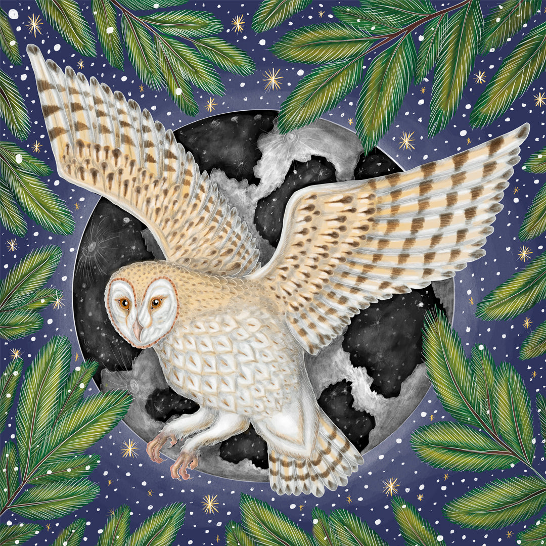 Winter Barn Owl Fine Art Print