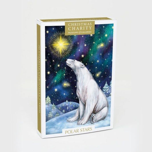 Stargazing Charity Christmas Cards Pack - 20 Cards